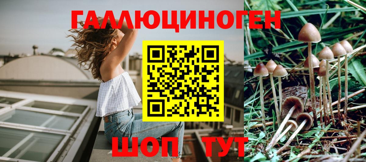 Губаха  Псилоцибиновые грибы GOLDEN TEACHER  Вход с VPN 