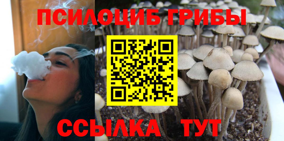Псилоцибиновые грибы мицелий Губаха