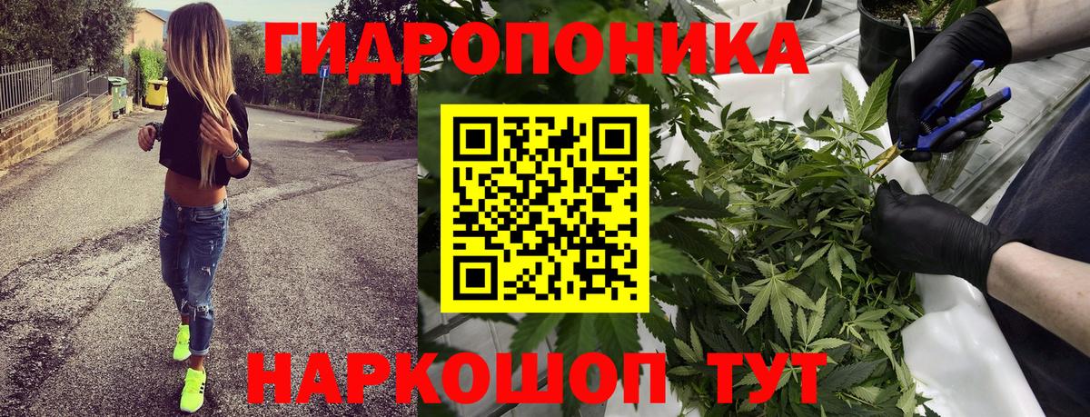 Губаха  Конопля White Widow  Конопля гибрид  Вход с VPN  Марихуана гибрид 